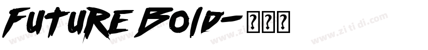Future Bold字体转换